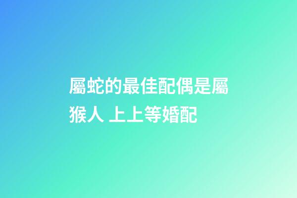 屬蛇的最佳配偶是屬猴人 上上等婚配